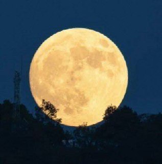 保存月亮图片打开闲鱼αpp首页点相机 选择月亮图识别-概率出 16 / 1.6 红包