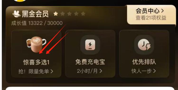 美团黑金/钻-会员中心如图 进去有好物兔単