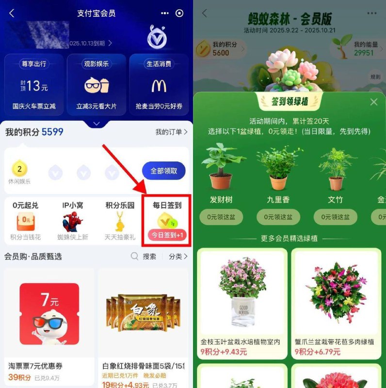 zfb丨我的-zfb会员如图右侧“每日簽.到”累计簽.到0亓拿绿植簽.到天数每个人不同